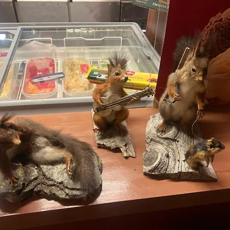 Neset Skydsstasjon * Flesberg